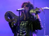 rita-lee-roubou-cobras-de-alice-cooper-nos-anos-70-e-as-adotou-como-pets;-conheca-a-historia