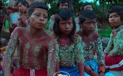 longa-‘a-flor-do-buriti’,-que-retrata-a-resistencia-de-indigenas-brasileiros,-e-premiado-em-cannes