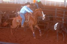 sul-mato-grossense-fica-entre-os-10-melhores-competidores-na-categoria-ranch-sorting-em-barretos