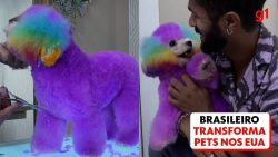 brasileiro-transforma-pets-em-‘criaturas-magicas’-nos-eua